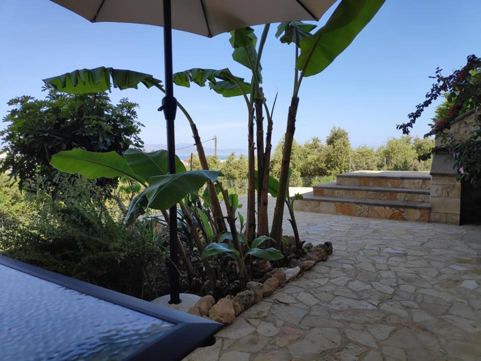 Xenia'S Countryside Guesthouse Agia Marina Exteriör bild