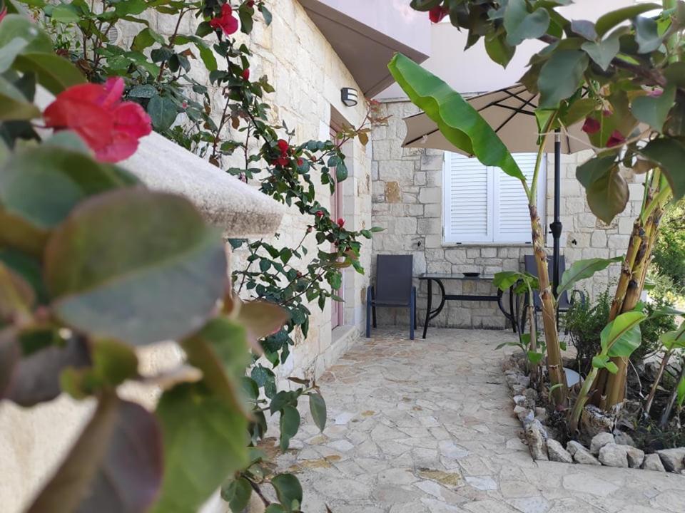 Xenia'S Countryside Guesthouse Agia Marina Exteriör bild